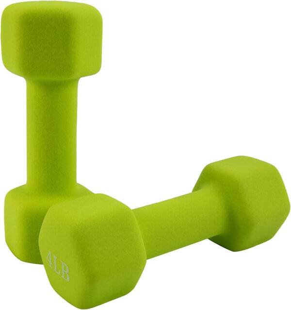 689c6ea0efe29972714ab09ab87064f3ddbf93fb03b9af4e8e450.jpg Saorzon Dumbbells Set of 2 Exercise Fitness Dumbbell for Home Gym Free Weights Hand Hex Dumb Bells