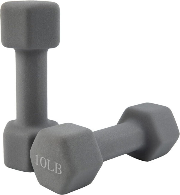 689c6eba3c0b1d962deb11ecdca713a29b5a6869f8a49df9991d2.jpg Saorzon Dumbbells Set of 2 Exercise Fitness Dumbbell for Home Gym Free Weights Hand Hex Dumb Bells