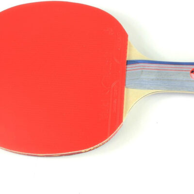 Butterfly 401 Table Tennis Racket Set - 1 Ping Pong Paddle – 1 Ping Pong Paddle Case - ITTF Approved Table Tennis Paddle - Ships in Ping Pong Racket Gift Box, Multi, B401FL