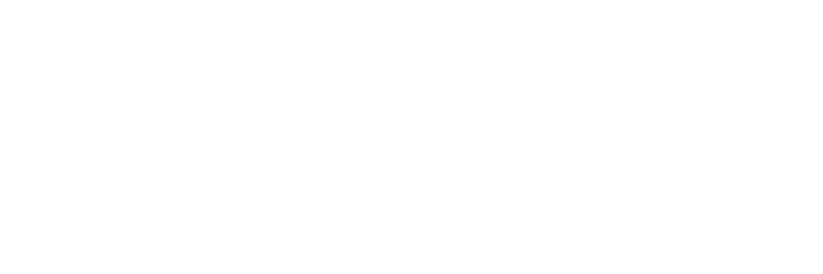 thesportzstore.flowautomate.com